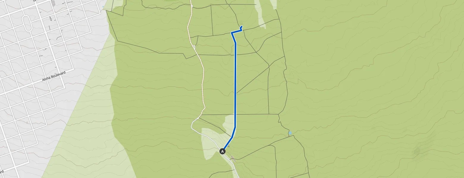 Forested Pit Crater — Kahuku Unit — Hawai'i Volcanoes National Park